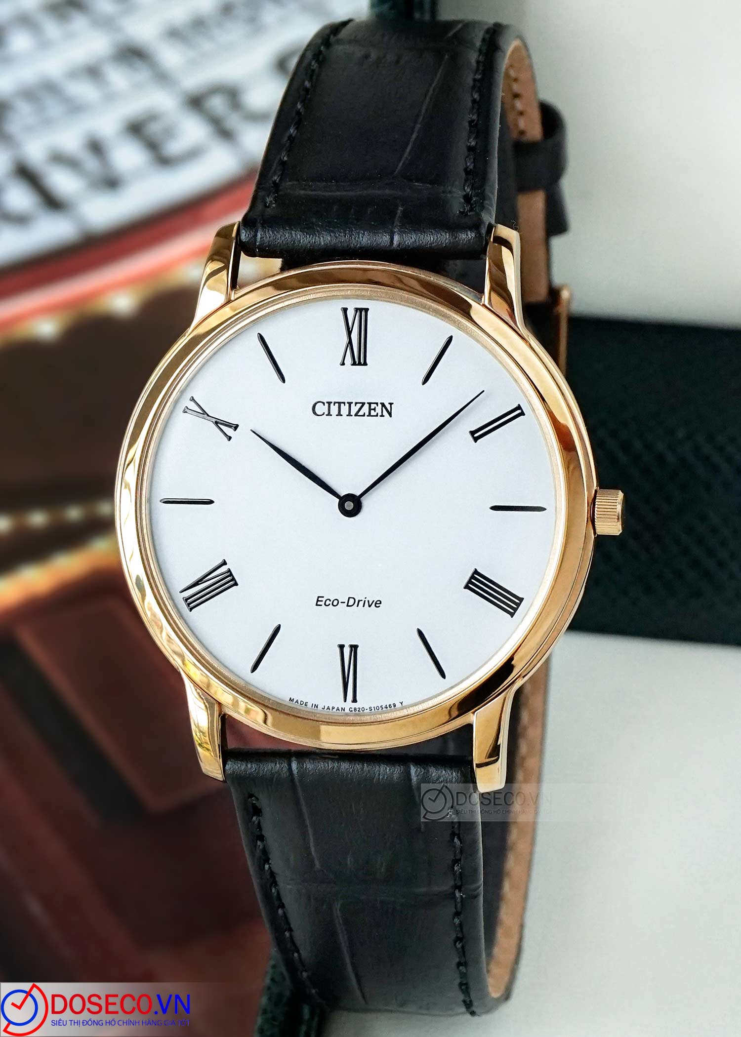 Citizen Eco Drive AR1113 12B